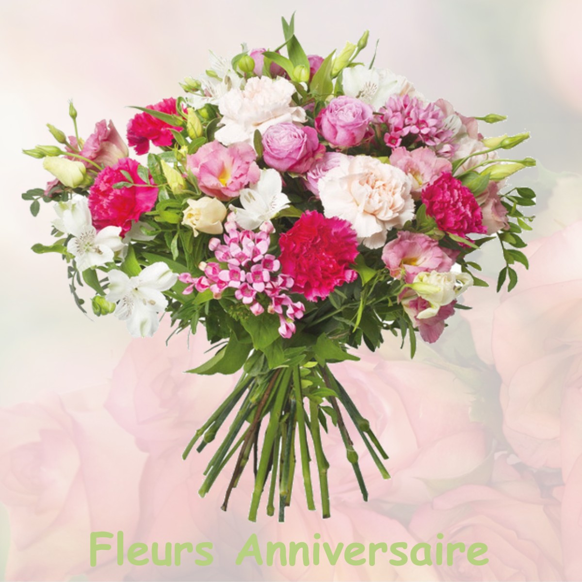 fleurs anniversaire BELONCHAMP